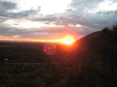 A ture bushveld sunset seen on the game drive